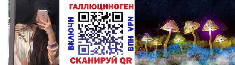 даркнет состав  Биробиджан  Галлюциногенные грибы мицелий  купить наркоту 